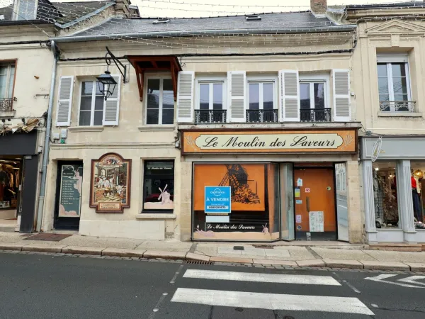 Commerce 14 pièces 339 m²