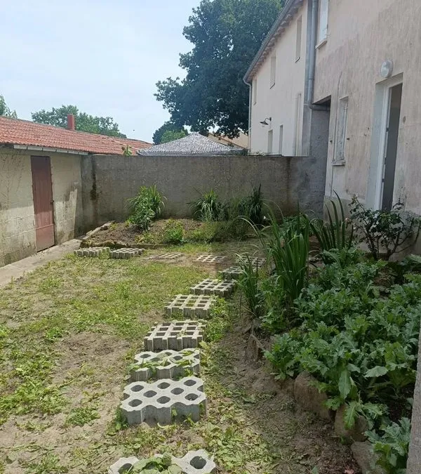 Photo 4