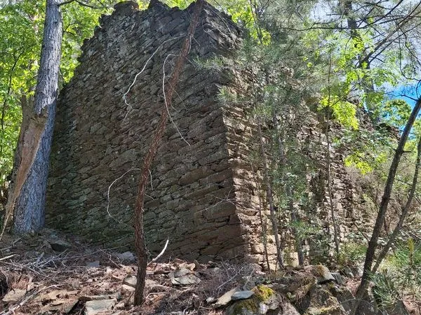 Terrain boisé de 2,6ha avec ruine