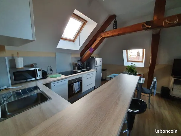 Bel Appartement T2 centre ville