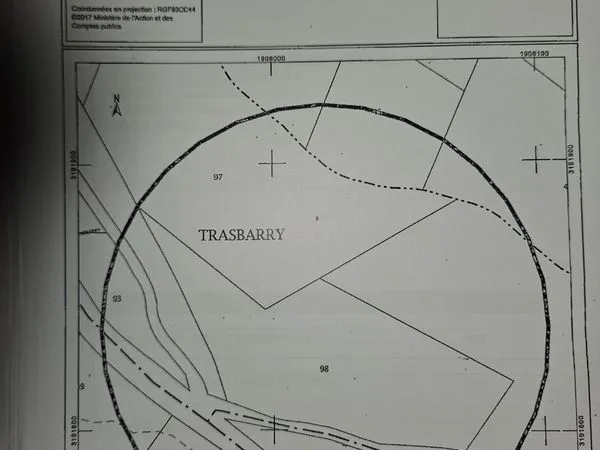 Terrain boisé