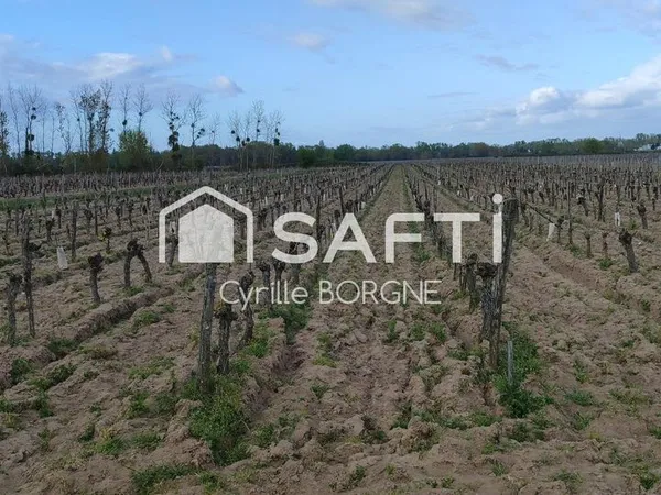Terrain 32000 m² SAVIGNY-EN-VERON