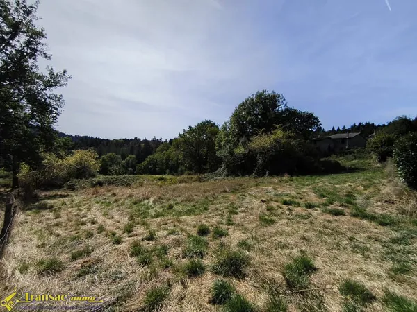 À Chabreloche, terrain constructible de 2707m2 exposé plein