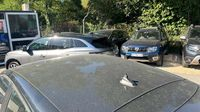 Renault Clio 1.5 dCi 100ch Evolution - 25 — photo 22