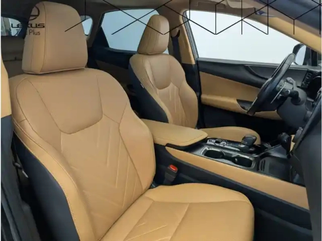 Lexus Nx 450h+ 4wd executive — photo 13