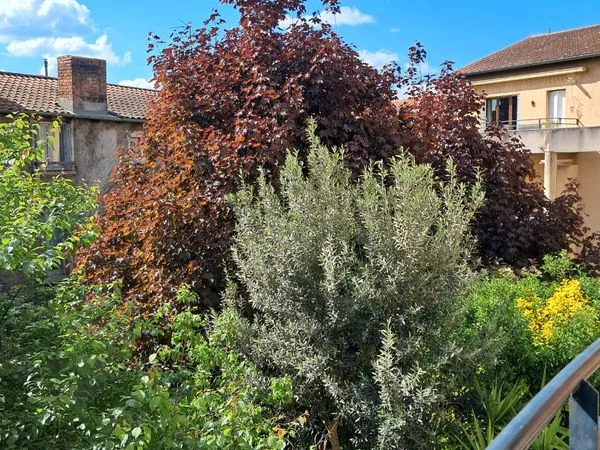 Vienne Centre - Bel appartement 3 pièces de 85 m² avec balcon au calme