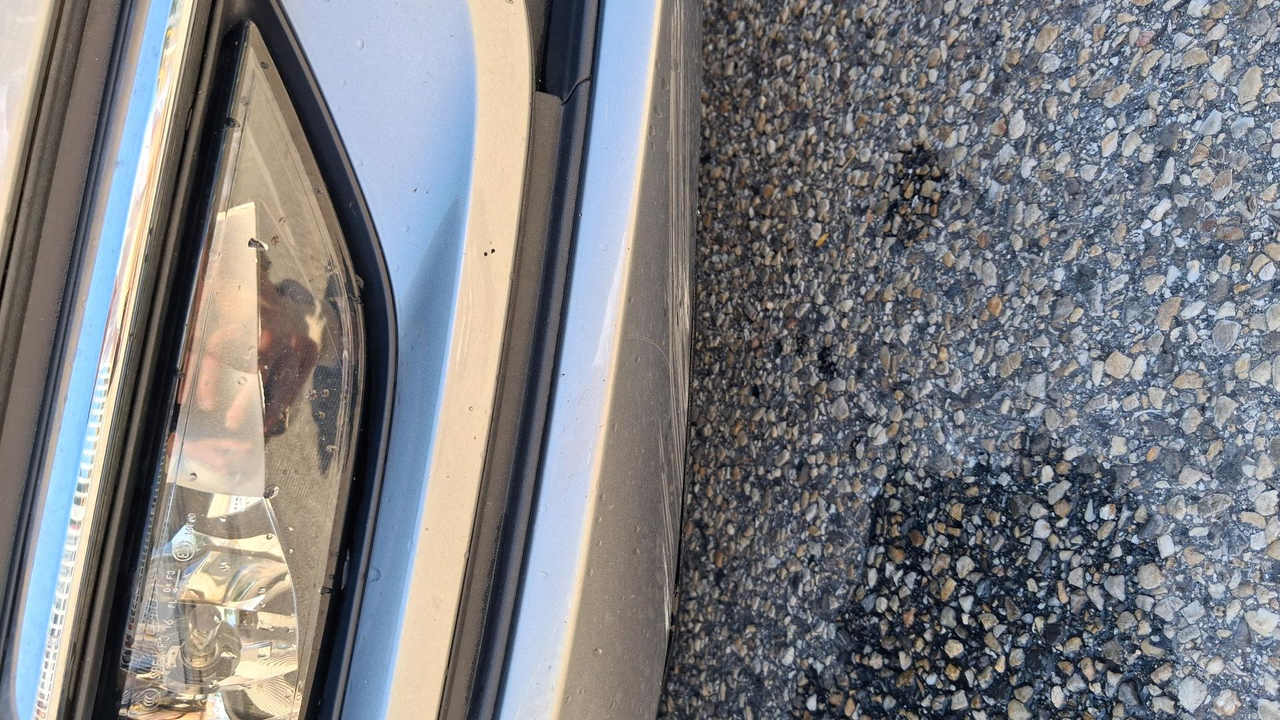 Volkswagen Golf 1.5 TSI 130 EVO BVM6 — photo 22
