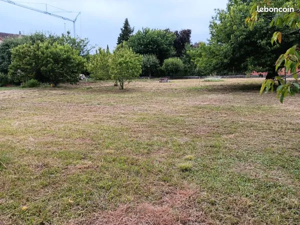 Terrain constructible