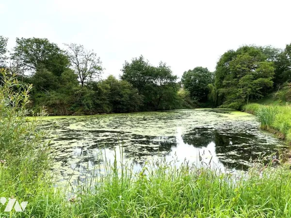 Terrain 17705 m²