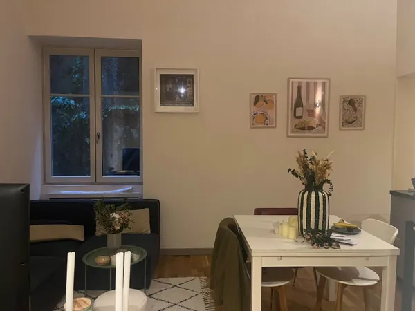 Appartement meublé 56m² - Lyon1er - à louer