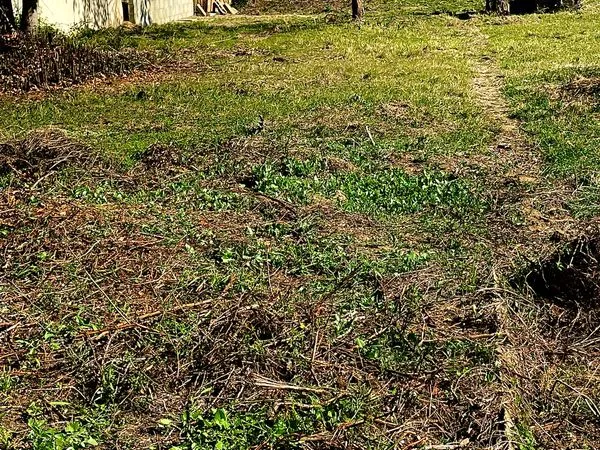 Terrain à bâtir 790 m² - Secteur résidentiel - 1 km centre ville