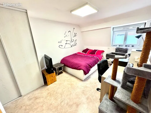 Studio meublé 25m2 pour étudiant(e) proche fac de médecine