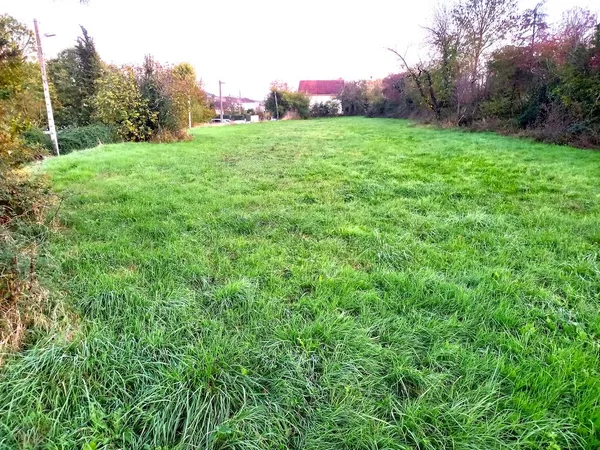 Beau Terrain 500m2 ALBI même prox commerces, TB placé