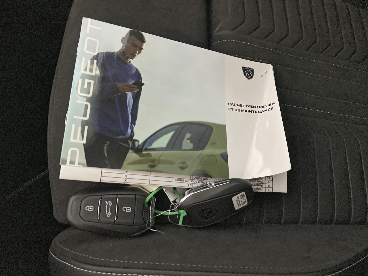 Peugeot 3008 plug-in hybrid 195 e-dcs7 gt — photo 18
