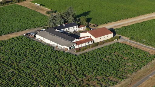 Vignoble 513658 m²