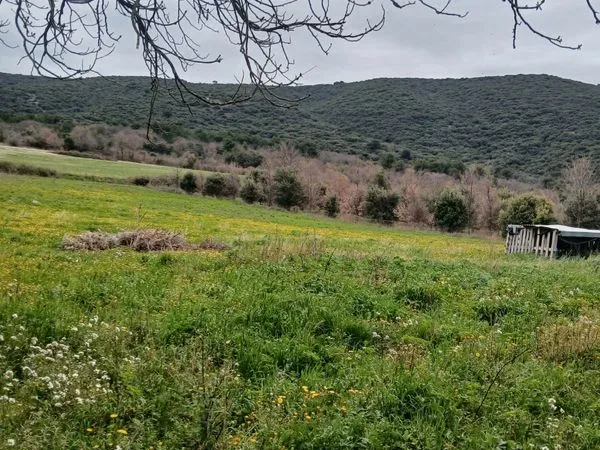 Location terrain