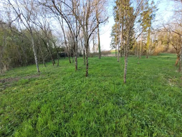 Terrain de loisirs / verger