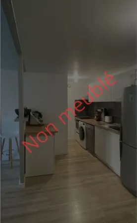 Magnifique T2 + Mezzanine de 63m²