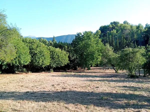 Terrain 3230 m²