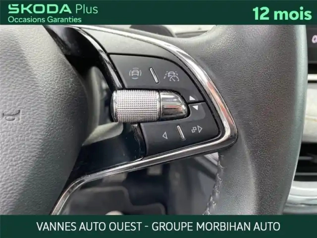 Skoda Enyaq iv 85 — photo 49