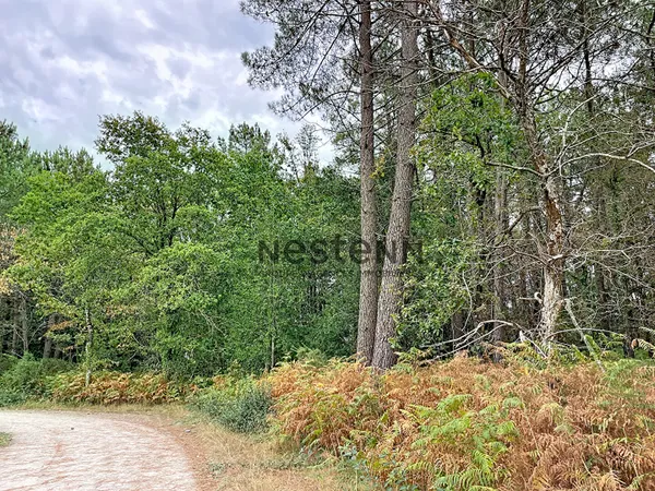 Bois de 17 422 m² en zone naturelle et forestière