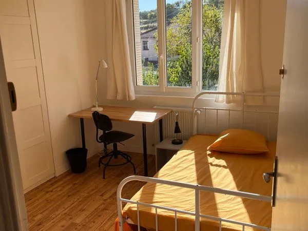 Colocation dans maison, Hôpital Fac Métro Lyon-Sud