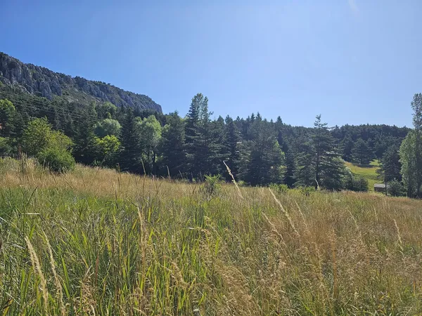 À SAISIR  Terrain constructible avec vue montagne à Andon (06750)