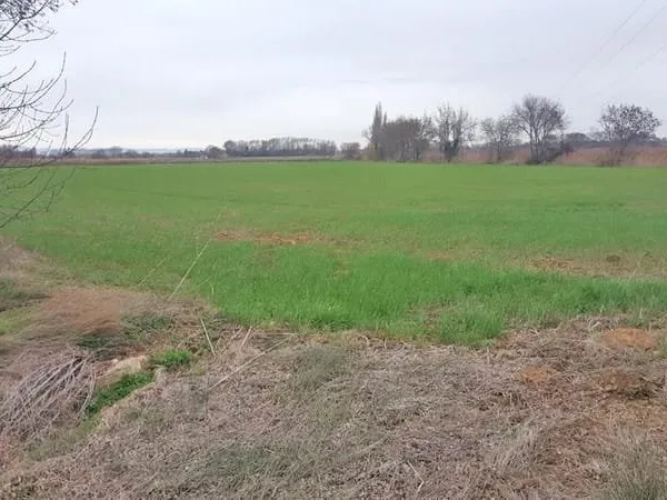 Bien agricole et foncier Vente Narbonne  19460m² 45000€