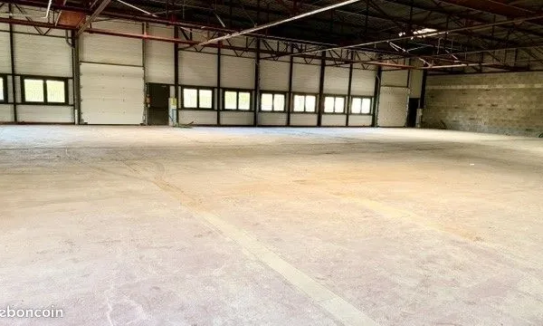Local Professionnel 230m²
