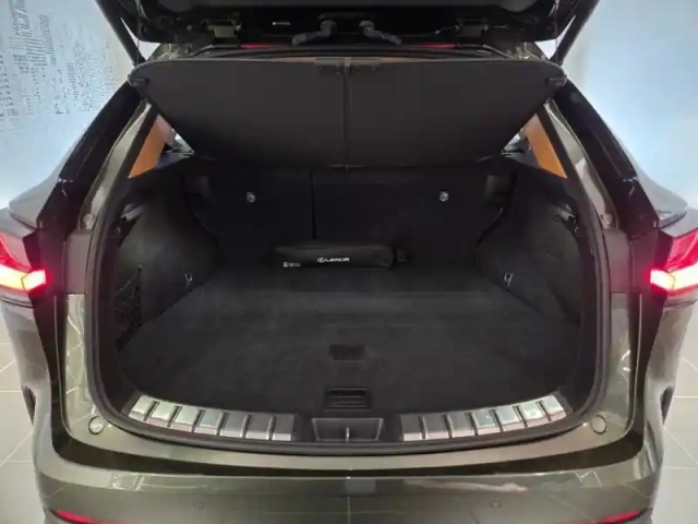 Lexus Nx 450h+ luxe 4wd my25 — photo 15