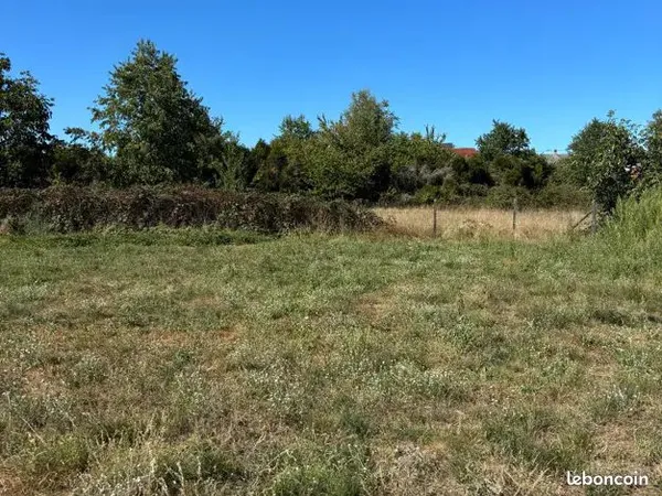 Location terrain