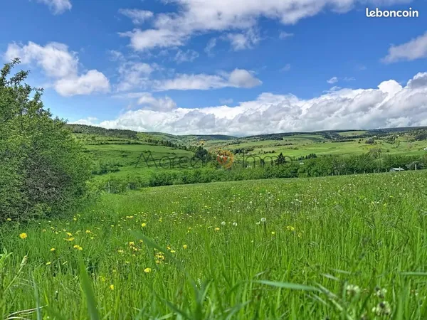 Terrain 4 038 m² Mont Lozere Et Goulet