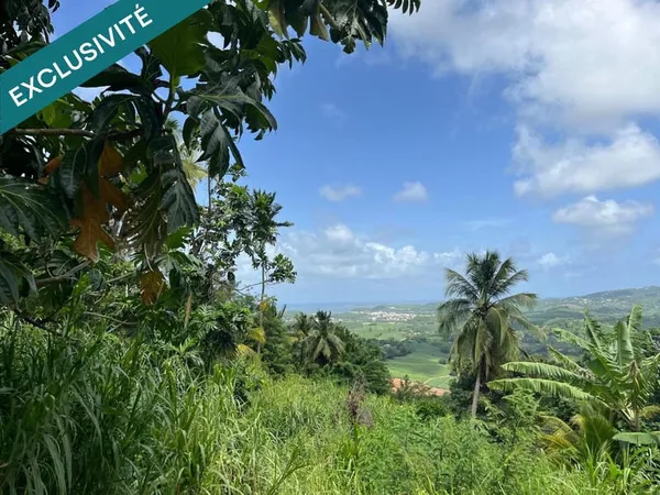 Terrain à bâtir 553 m² - Le François, Bois-Neuf - Vue dégagée