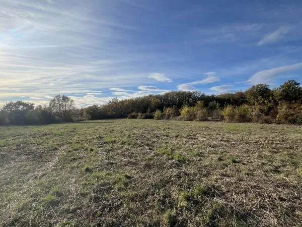 Terrain 14257 m²