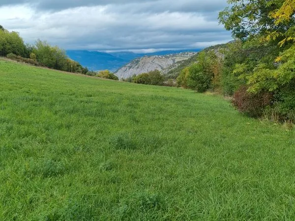 Terrain constructible viabilisé à 700ml du lac de Serre-Ponçon