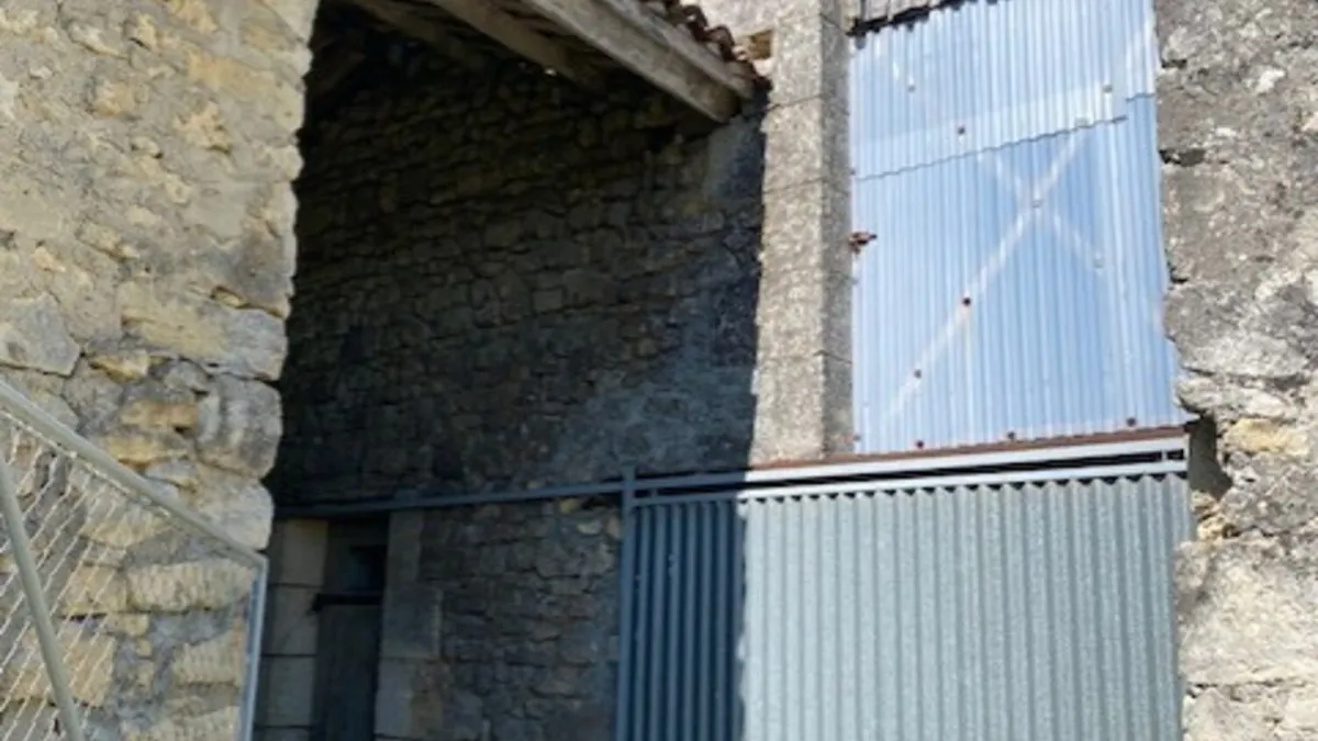 Photo 10