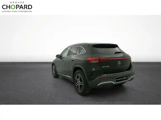 Mercedes Eqa 250 — photo 6