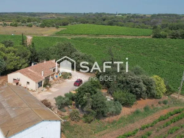 MAISON DE PLAIN PIED ENTOUREE DE VIGNE