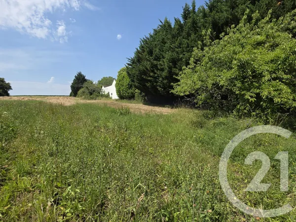 Terrain 1478 m²