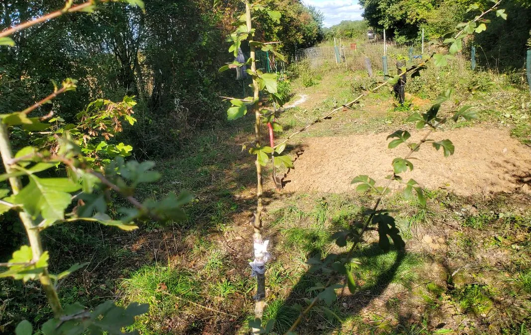 Photo 3