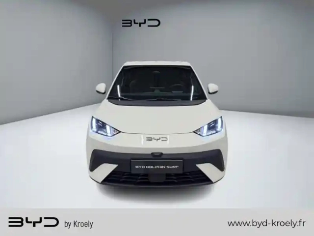 Byd Dolphin surf comfort 115 kw — photo 8