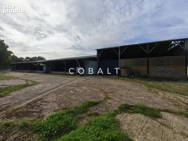 Bien immobilier à vendre à Blain (44130)