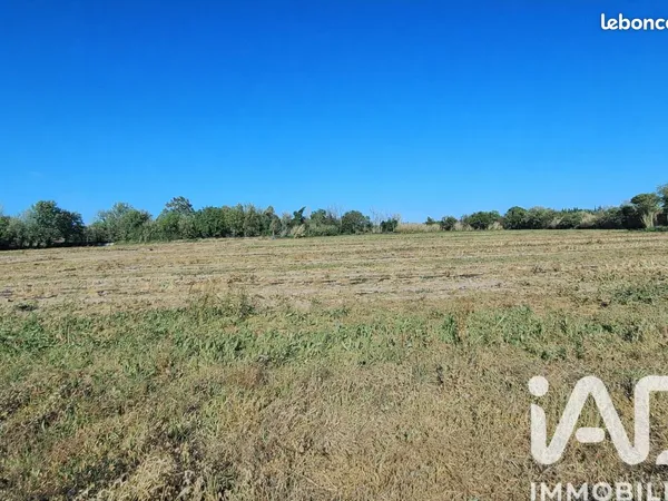 Terrain 44312 m² Pézilla-la-Rivière