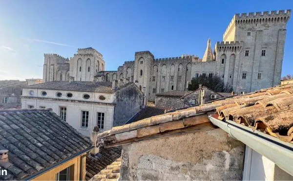 Charmant appartement avec terrasse vue Palais des Papes - Avignon centre
