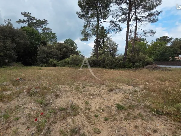 Terrain 762 m² SAINT HILAIRE DE RIEZ
