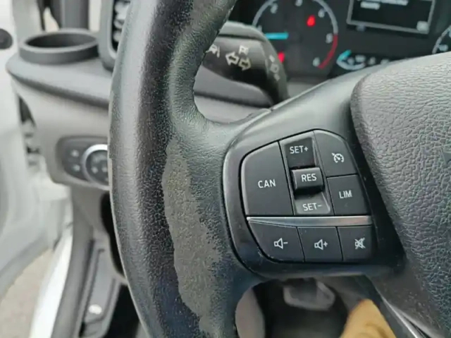 Ford Custom 320 l1h1 2.0 ecoblue 130 bva trend business — photo 17