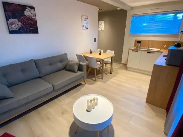 Appartement meublé Meyzieu 38 m2