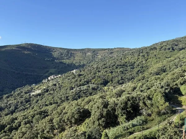 Appartement village de BORGO