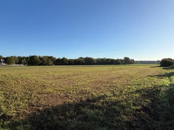 Terrain à bâtir 805 m²