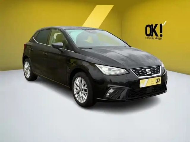 Seat Ibiza 1.0 tsi 110 xcellence dsg7 — photo 7